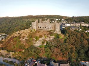 Royal St Davids Castle Rock